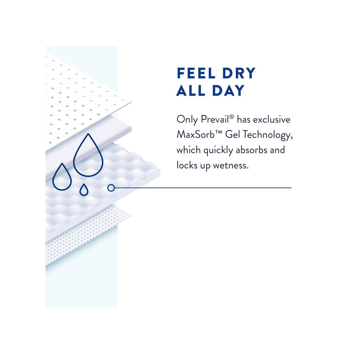Prevail® Nu-Fit® Absorbent Underwear