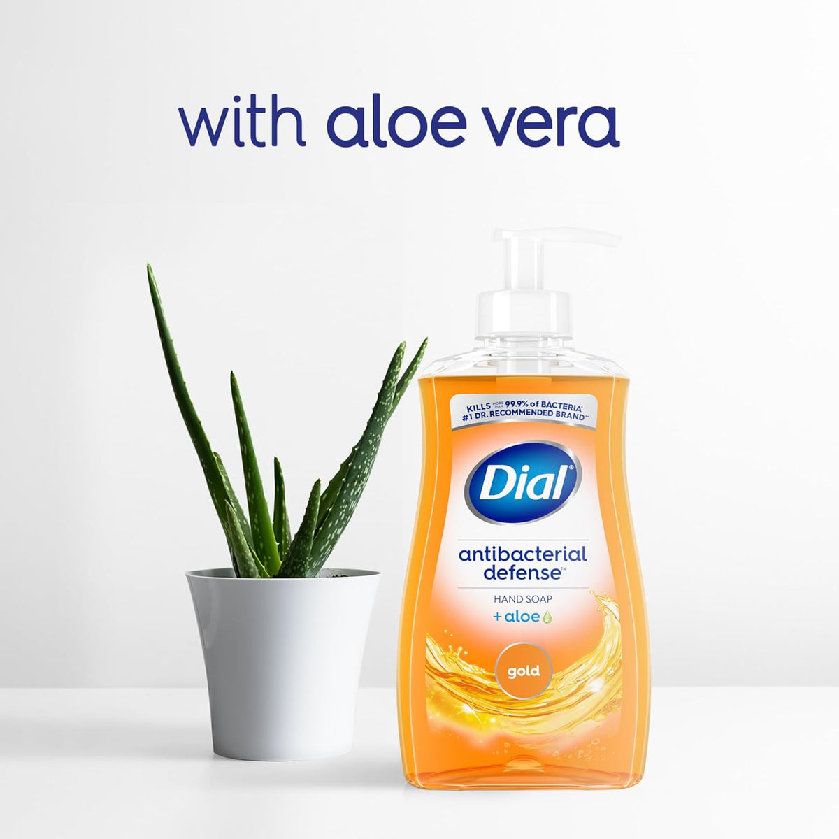 Dial® Antimicrobial Soap Pump Bottle