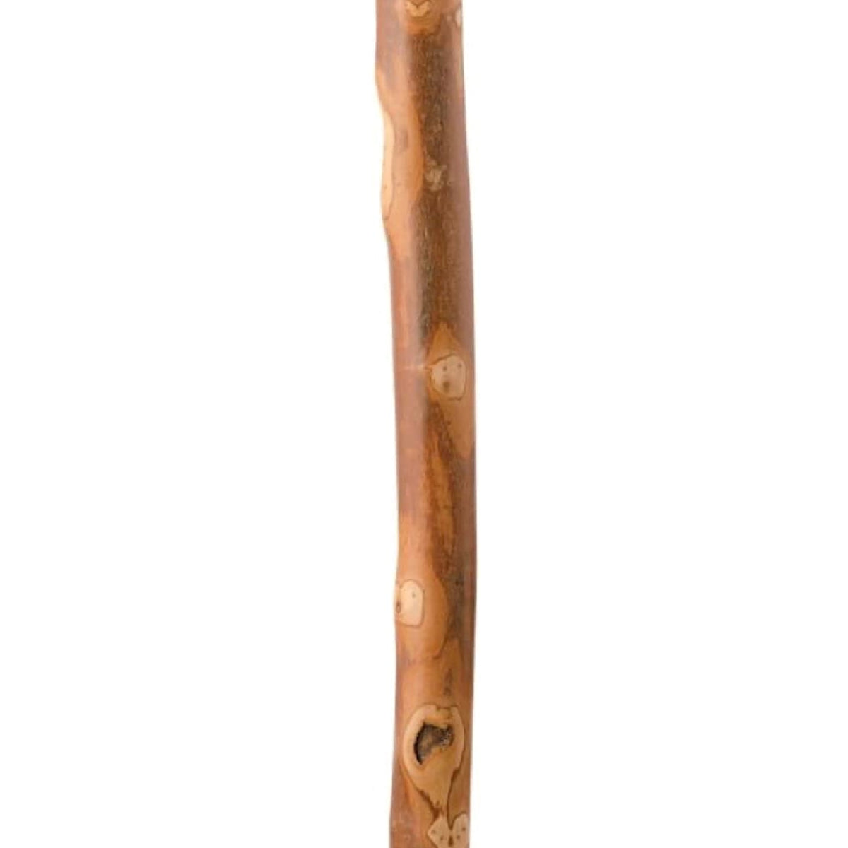 Brazos™ Sapling American Hardwood Free- American Hardwood 55"