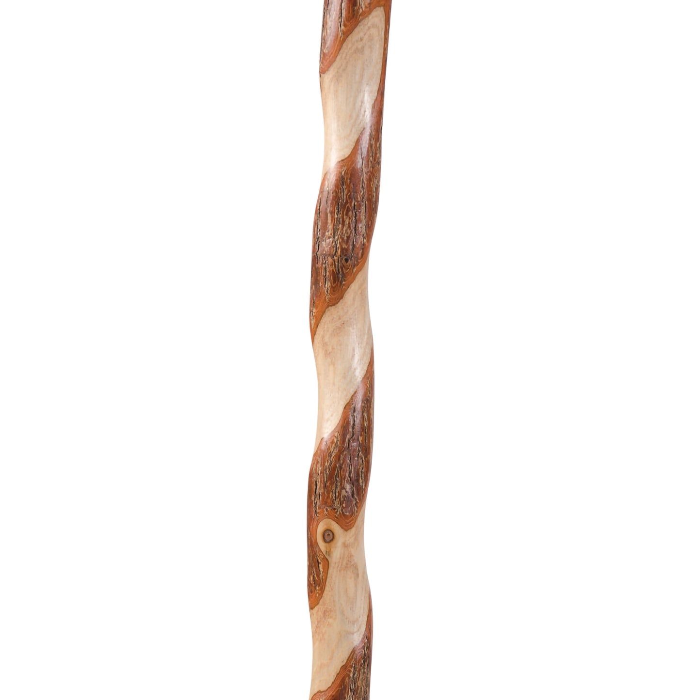 Brazos™ Sassafras Rustic Walking Stick Sassafras 58"