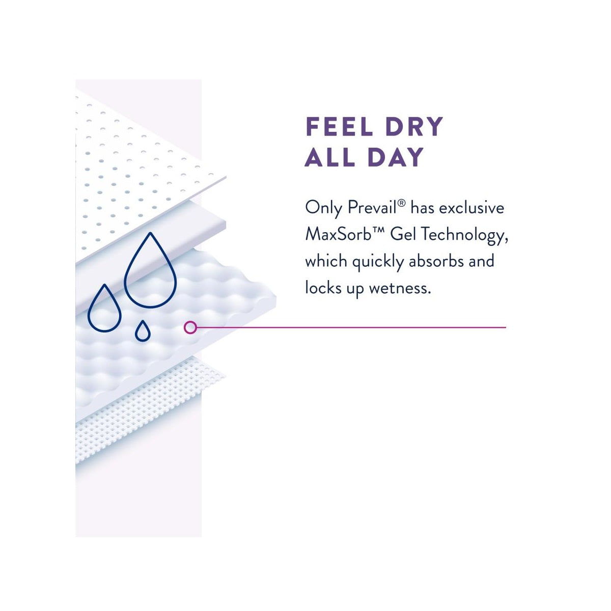 Prevail® Per-Fit® Daily Underwear For Women