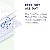 Prevail Daily Briefs 