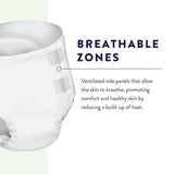 Prevail Daily Briefs 