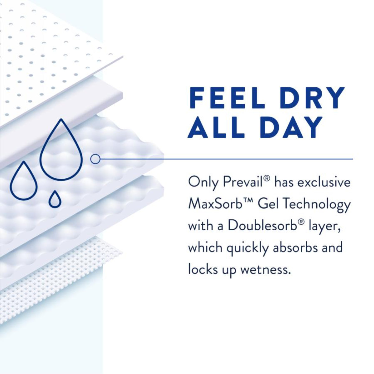 Prevail Air Plus Daily Briefs