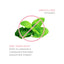 Thera Calazinc Body Shield Skin Protectant