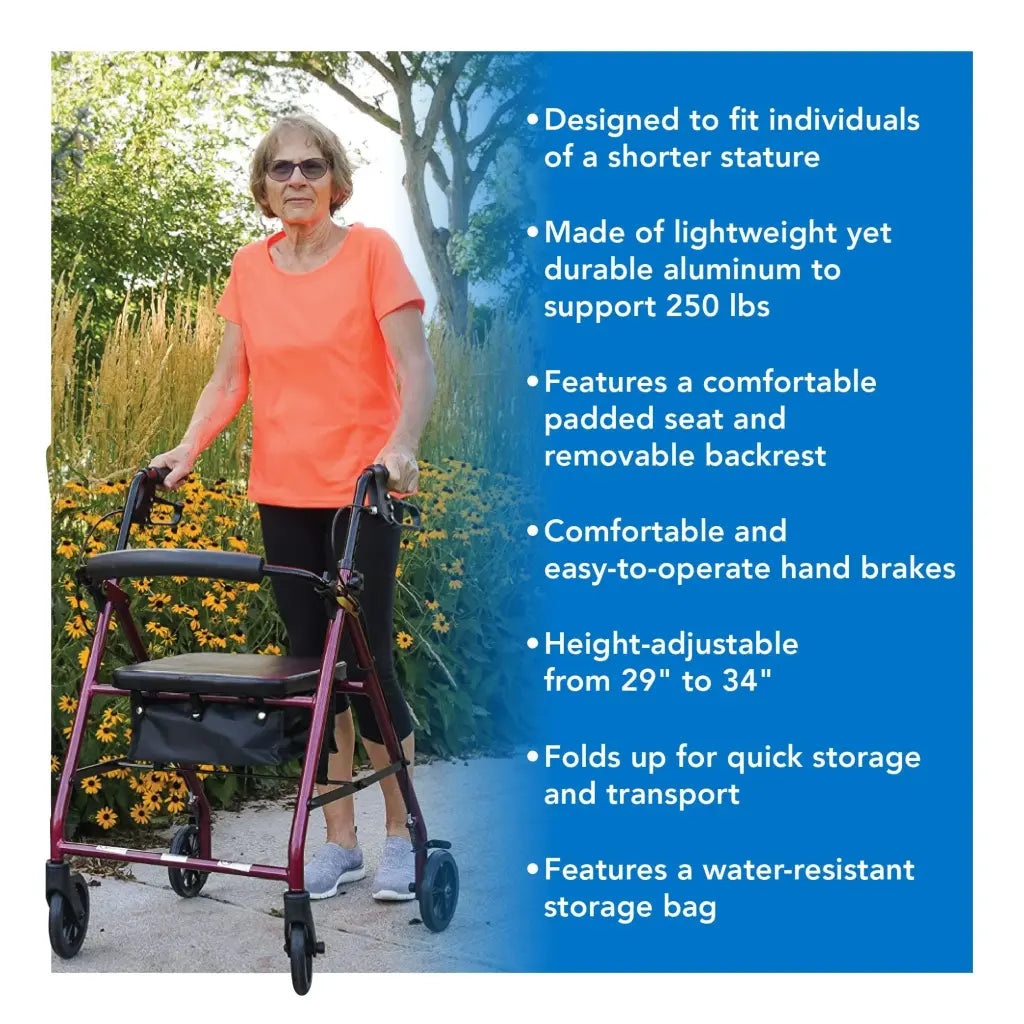 ProBasics Deluxe Aluminum Rollator, 8-Inch Wheels