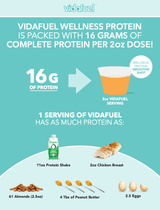 Vidafuel Wellness Protein Drink with Collagen and Whey 