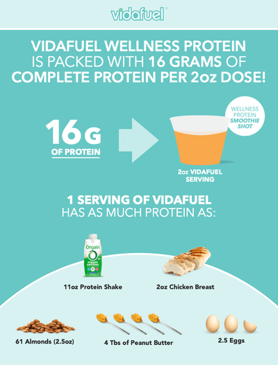 Vidafuel Wellness Protein Drink with Collagen and Whey
