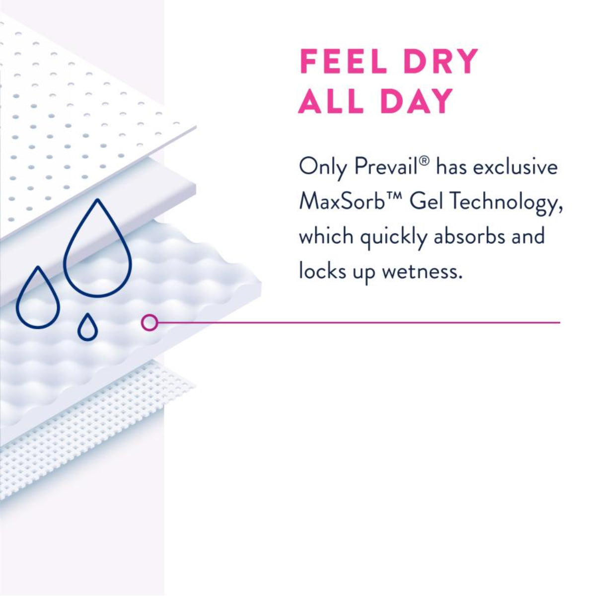 Prevail® Daily Underwear For Women