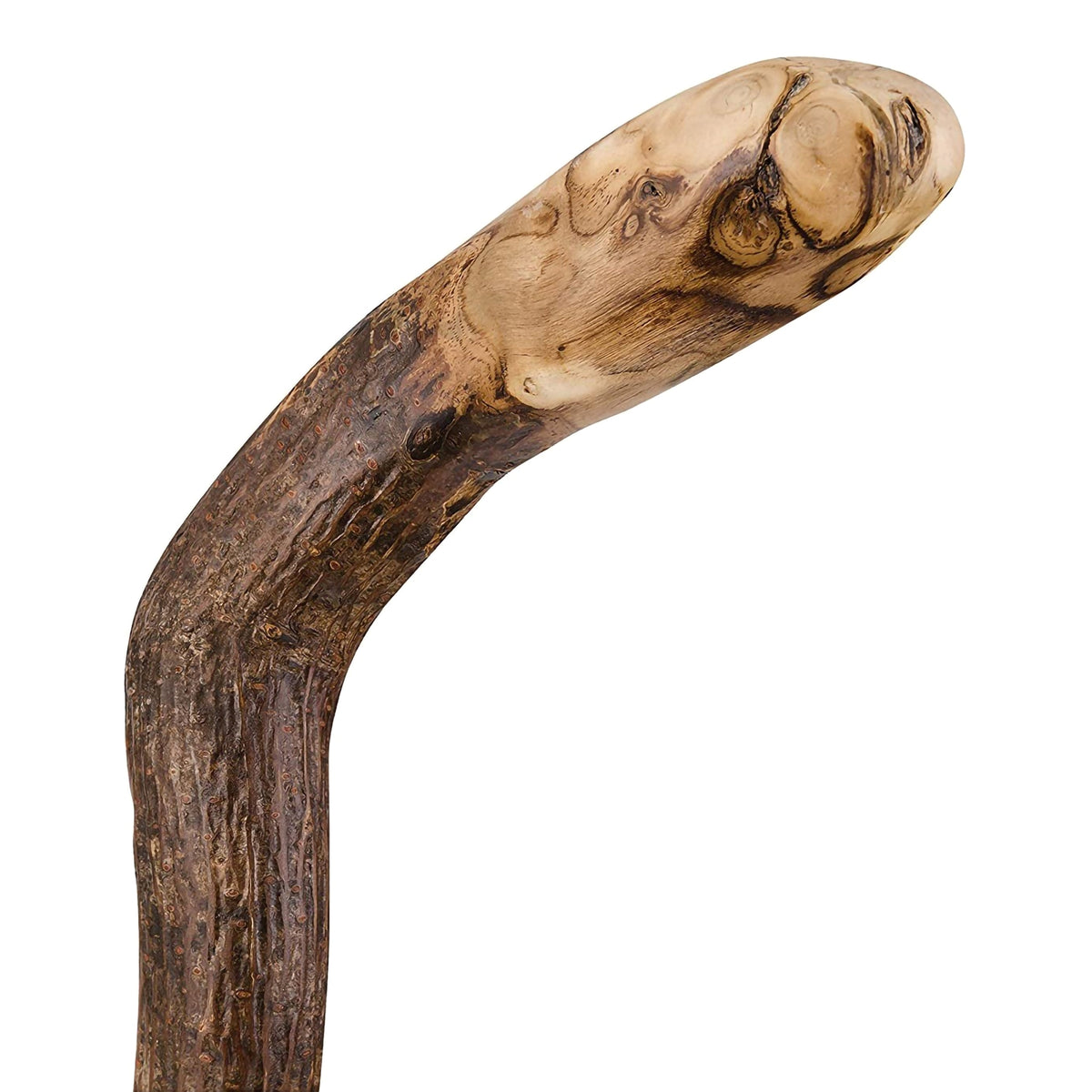 Brazos™ Assorted Hardwood Knob Root Rustic Walking Cane Natural Hardwood 37" 