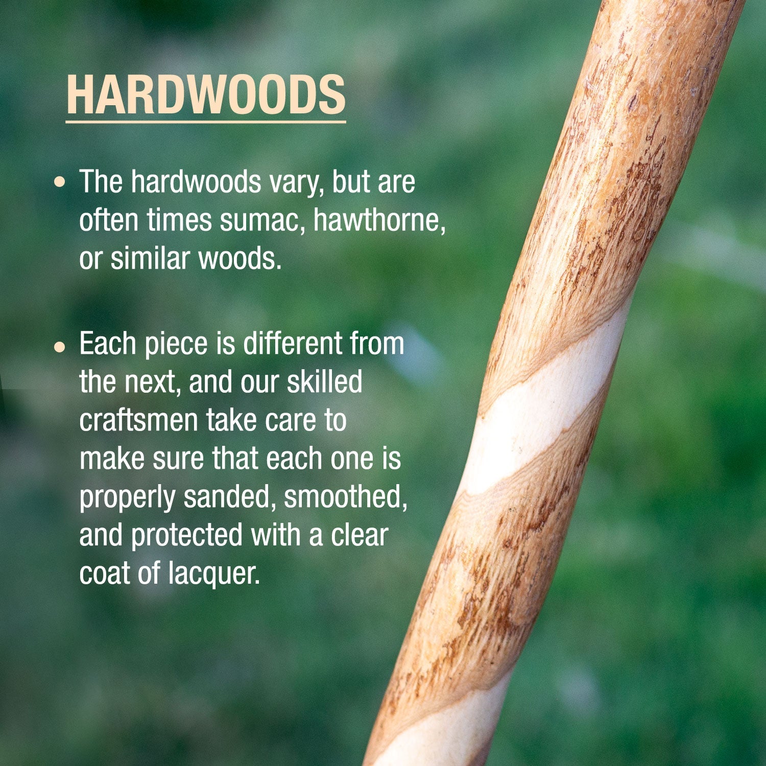 Brazos™ Assorted Hardwood Rustic Walking Stick American Hardwood 41" 