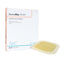DermaFilm® Thin with Border Hydrocolloid Dressing 2" x 2" 1 Each 