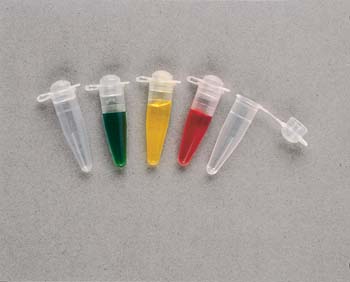 https://laboratory.healthcaresupplypros.com/buy/sample-containers/thermal-cycler-tubes