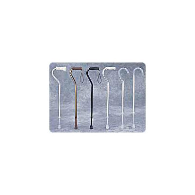 https://medicalsupplies.healthcaresupplypros.com/buy/ambulatory-aids/canes-and-accessories