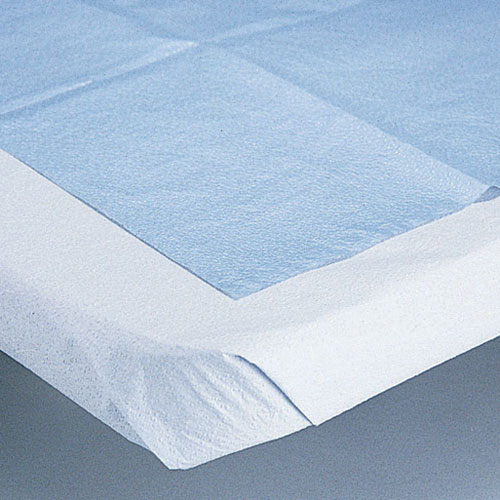 https://medicalsupplies.healthcaresupplypros.com/buy/nursing/drapes-exam-table-paper/patient-exam/disposable-drape-sheets